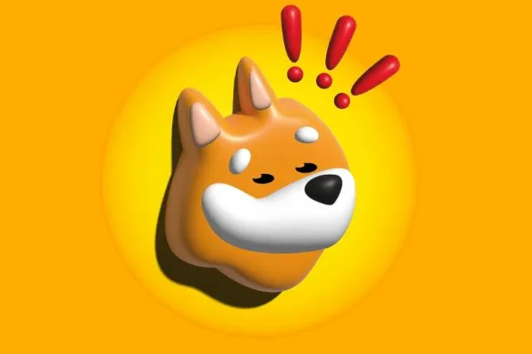 FIRST BONK ON BONK logo